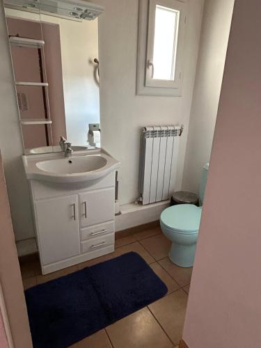 a bathroom with a sink and a toilet at le Belvédère Maison d hotes in Sainte-Anne