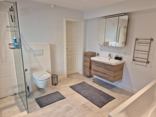 a bathroom with a toilet and a sink and a shower at Windstiller Hafen in Flensburg
