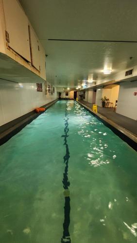 a swimming pool with green water in a building at Norton Suite - Christchurch Central in Christchurch