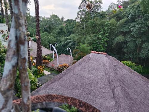 Landskap semula jadi dekat dengan vila ini