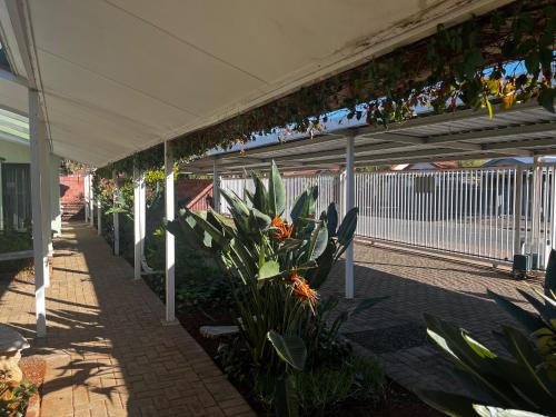 Imagen de la galería de Matthys Guesthouse, en Kimberley