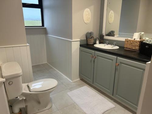 a bathroom with a toilet and a sink at Luxury 4 bedroom lodge in Doolin in Doolin