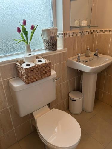a bathroom with a toilet and a sink at Luxury 4 bedroom lodge in Doolin in Doolin