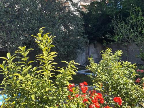 a garden with red flowers and a fence at Guest House Begaj in Orikum