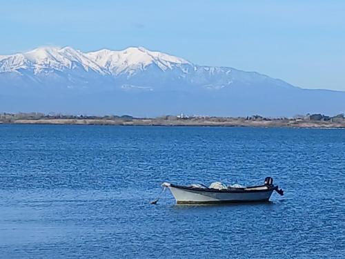un bateau au milieu d'une grande étendue d'eau dans l'établissement Appartement Spacieux Centre, à Perpignan