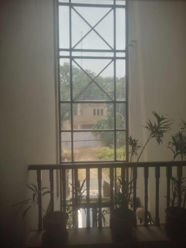 a window with potted plants in a room at Herfa INN Hotel Lahore in Lahore