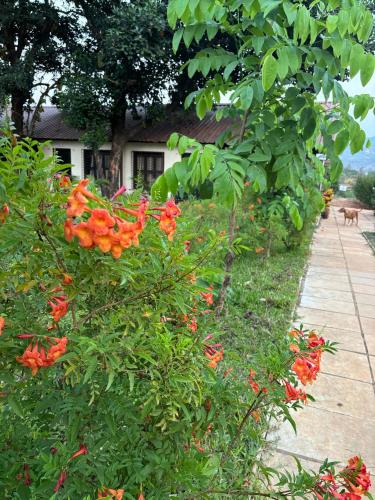 a garden with orange flowers next to a sidewalk at Madhuvan Retreat Resort Amba in Chandoli