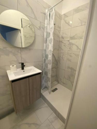 une salle de bain avec une douche, un lavabo et un miroir dans l'établissement Heart of Rouen, à Rouen