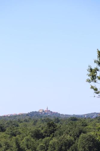 Gallery image of Miloš in Mugeba