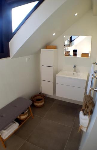 a bathroom with a sink and a toilet and a mirror at Manou du Lac Annecy in Doussard