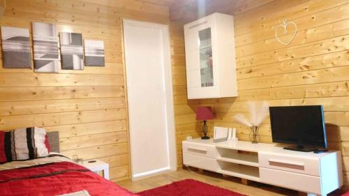 Quirky Park - Pool, hot tub, cold plunge, sauna and exclusive party roomにあるテレビまたはエンターテインメントセンター