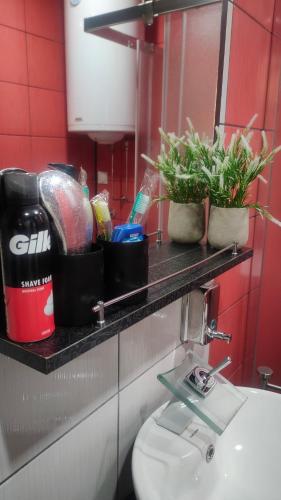 a bathroom with a toilet and plants on a shelf at Stan na dan Premium 030 in Bor