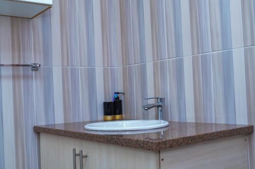 a sink in a bathroom with a shower at Wales Suite in Harare