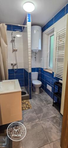a bathroom with a toilet and a sink at Ostoja Stacze in Stacze