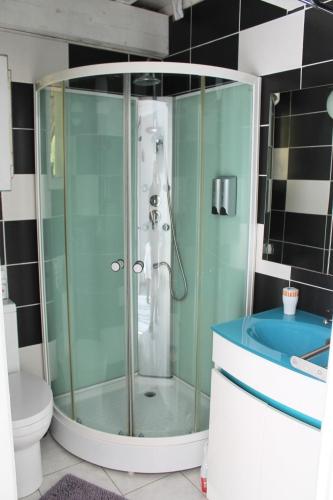 La salle de bains est pourvue d'une douche en verre et de toilettes. dans l'établissement Gîte Les Amandiers, à Villedubert