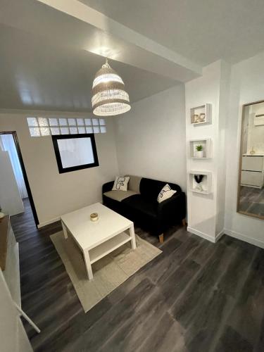 1 apartement en centre ville