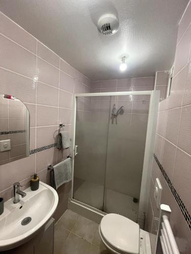 une salle de bain avec une douche, des toilettes et un lavabo dans l'établissement 1 apartement en centre ville, à Nogent-sur-Oise