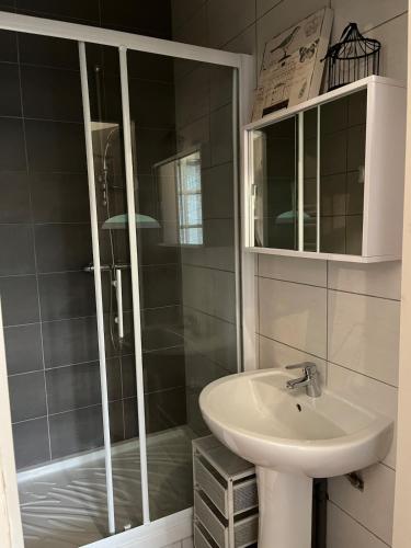 une salle de bain avec douche et lavabo dans l'établissement Bord de l'eau, grand appartement, à Saint-Pryvé-Saint-Mesmin