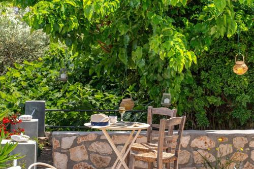 Un jardín fuera de Célestine