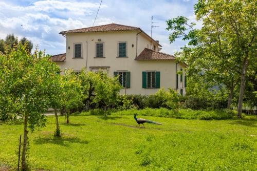 a bird standing in the grass in front of a house at Entire Private Floor in an 1800s Frescoed Villa with Historic Park - Villa Mastrangelo in Colli del Tronto