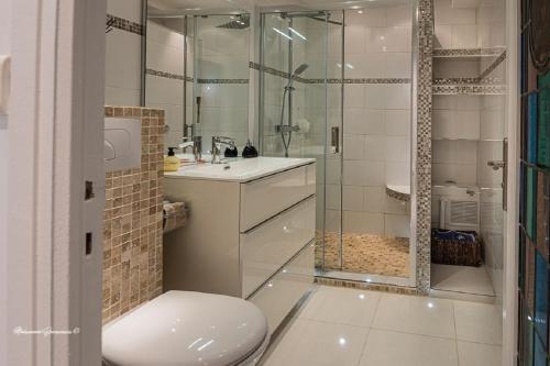 une salle de bain avec toilettes et douche en verre dans l'établissement Ô 27 Fleurie Cannes, à Cannes