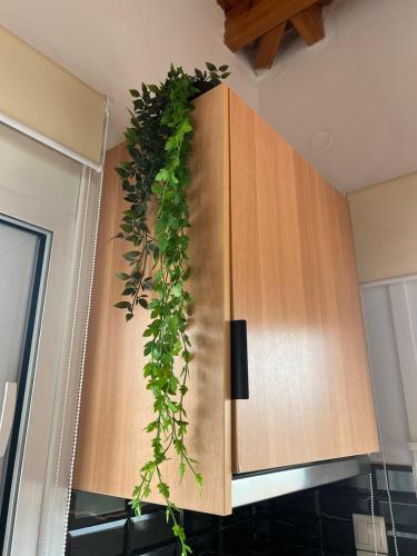 a plant hanging from the back of a kitchen cabinet at Sweet Home in Amarinthos