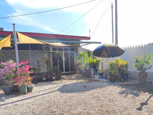 Beris Tok SabohにあるKuala Besut - Homestay Ku Baruの傘と鉢植えが置かれた家の前