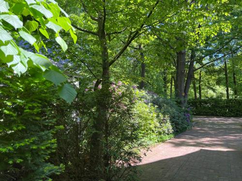 a walkway in a park with flowers and trees at de Merel in Vught