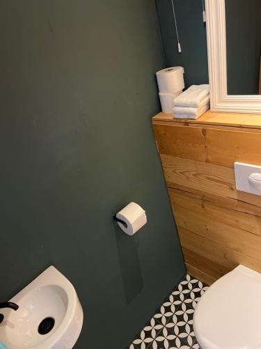 a bathroom with a white toilet and a green wall at de Merel in Vught