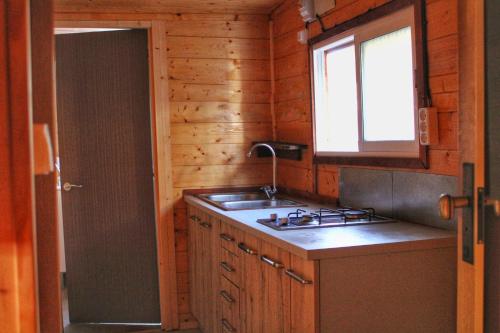 Kuchyň nebo kuchyňský kout v ubytování ARES Ecoresort