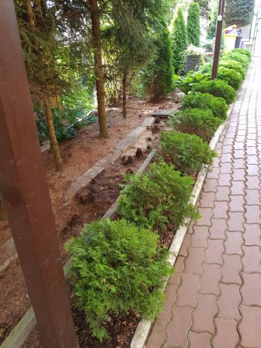 Κήπος έξω από το Apartamenty, Pokoje, Noclegi, " Skarpa" Wilkasy