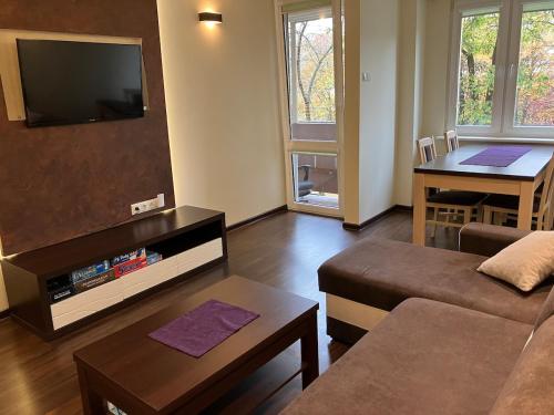 Μια τηλεόραση ή/και κέντρο ψυχαγωγίας στο Apartament Gądów Mały