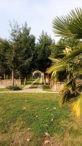 Κήπος έξω από το Değirmenbaşı Otel & Restoran