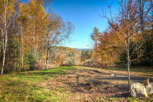 a dirt road in the middle of a forest at Panoramic Mountain Views with Hot Tub in Jamaica