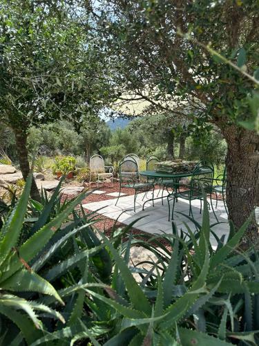 a patio with a table and chairs under a tree at Casa Mariposa Porto Rotondo in Rudalza