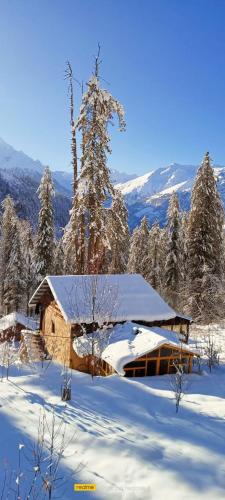 a building covered in snow with trees and mountains at Mysterious Kutla Cottage,Kutla, Tosh in Chhorang