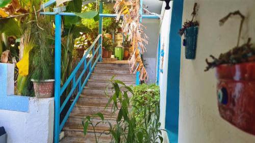 a stairway leading up to a room with plants at Aphrodite Hotel Bozburun in Bozburun