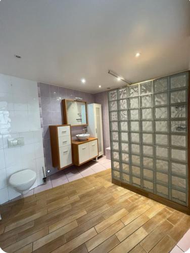une salle de bain avec toilettes et lavabo dans l'établissement Charmant Appartement T3, à Toulouges