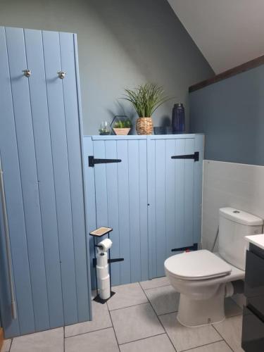 a bathroom with blue cabinets and a toilet at Perfect Gites In Normandy - New Beginnings Barn in Saint-Sauveur-de-Chaulieu