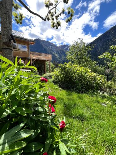 a garden with red flowers in the grass at Kerbihan in Vénosc