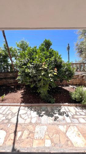 a bush in front of a fence next to a garden at Petra Oliva Apartment in Dhërmi