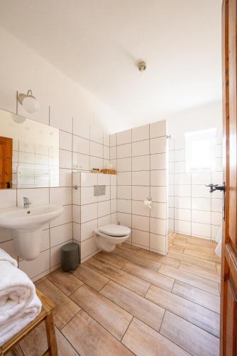 a bathroom with a toilet and a sink at penzion Dvorce in Třeboň