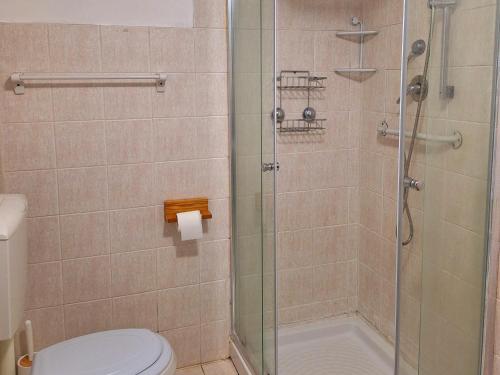 un bagno con wc e doccia in vetro di La Casetta nel Borgo a Mezzana