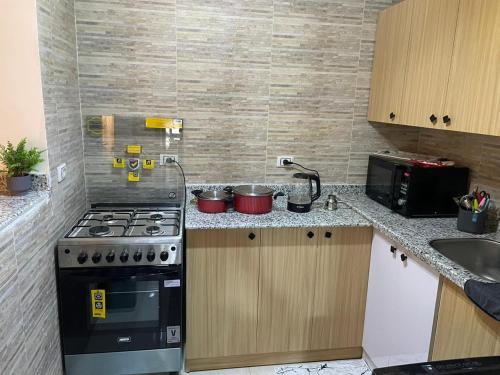Kuchyň nebo kuchyňský kout v ubytování New cairo - nasr city 2 bedroom furnished