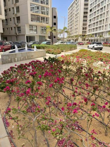 Zahrada ubytování New cairo - nasr city 2 bedroom furnished