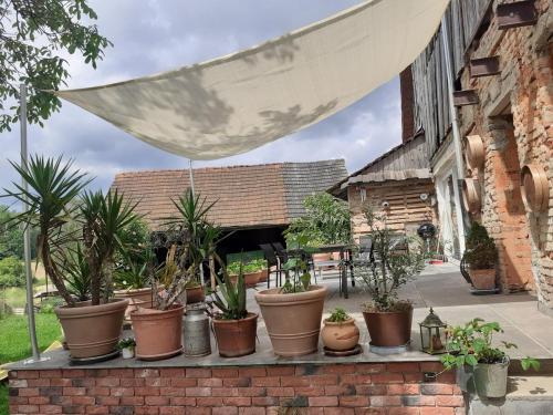 Κήπος έξω από το Apartment am Vierkanthof im Thermenland