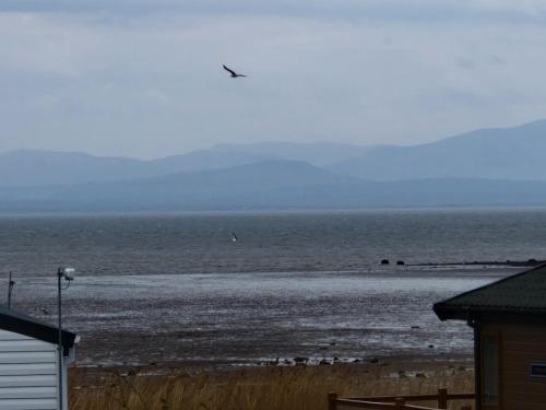 a beach with a bird flying over the ocean at Peaceful Seaside Getaway in Mainsriddle