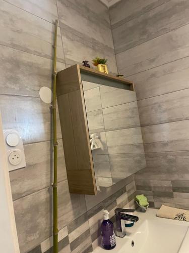 une salle de bain avec un lavabo et un miroir dans l'établissement Villa piscine Uzes, à Saint-Siffret