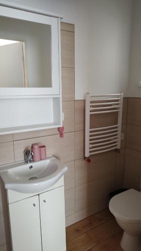 Koupelna v ubytování Hortenzie