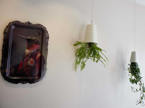 a picture of a bird on a wall at L'aparthoteL LhL in Dijon
